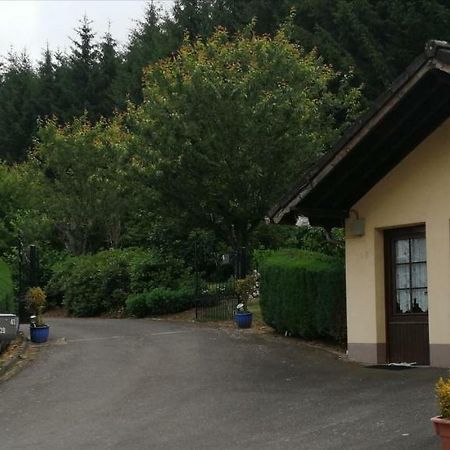 Villa Chalet Rose Burg Reuland Exterior foto