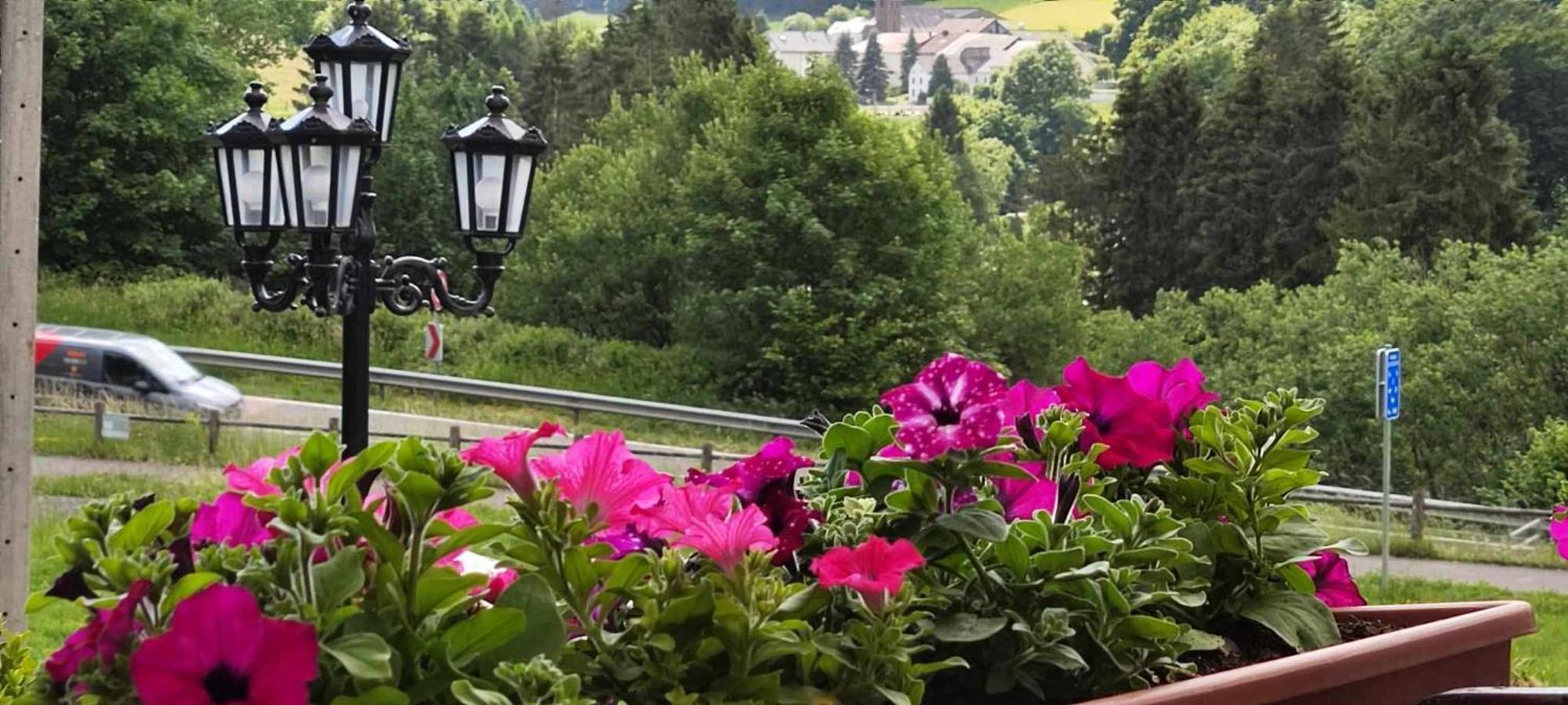 Villa Chalet Rose Burg Reuland Exterior foto