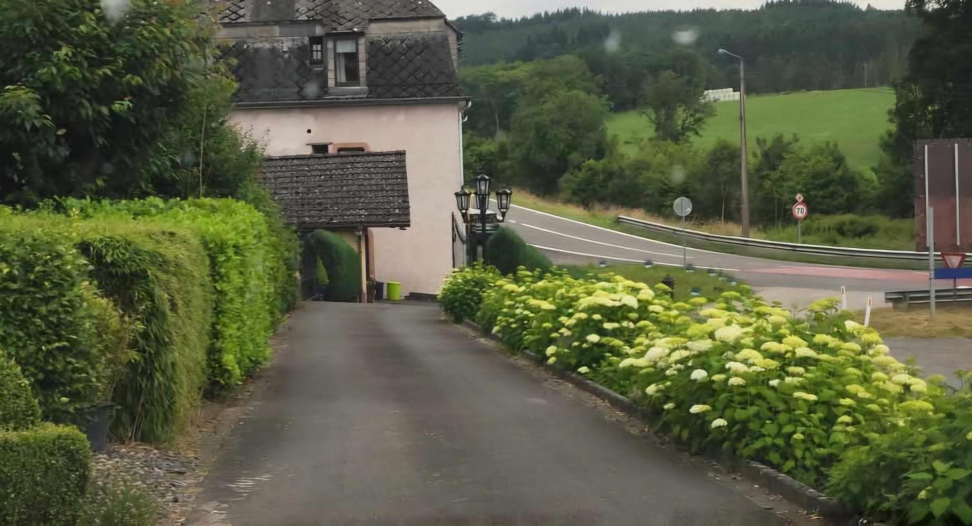 Villa Chalet Rose Burg Reuland Exterior foto