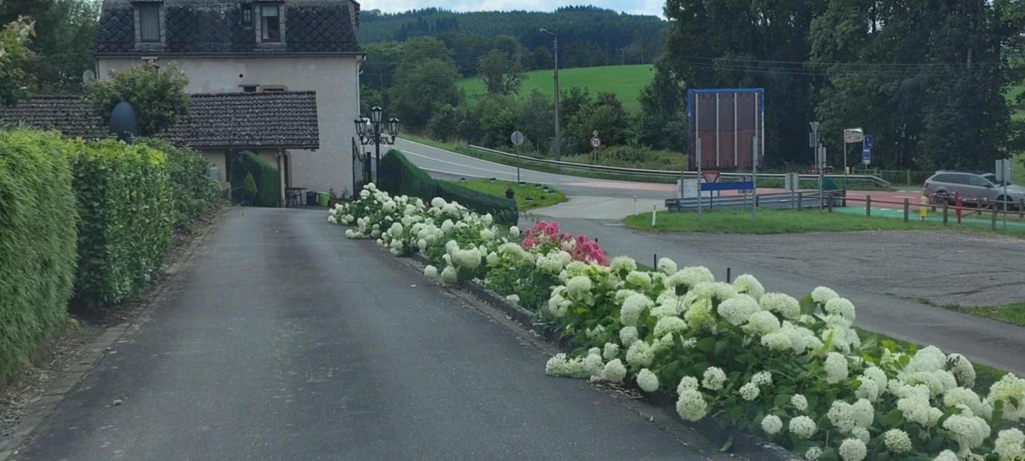 Villa Chalet Rose Burg Reuland Exterior foto